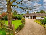 Thumbnail to rent in Georges Lane, Storrington, West Sussex