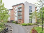 Thumbnail to rent in Observer Drive, Watford