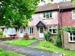 Thumbnail for sale in Mulberry Way, Heathfield, East Sussex