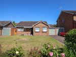 Thumbnail to rent in Beechwood Close, Exning, Newmarket