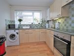 Thumbnail to rent in Palmeira Avenue, Hove