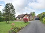 Thumbnail for sale in Mill Lane, Elloughton, Brough