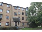 Thumbnail to rent in Chestnut Road, Basildon