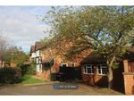 Thumbnail to rent in Curtis Croft, Shenley Brook End, Milton Keynes