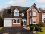 Thumbnail for sale in Cresswell Place, Mearnskirk, Newton Mearns