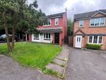 Thumbnail for sale in Primrose Meadow, Cannock