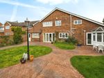 Thumbnail for sale in Butlers Close, Chelmsford, Essex