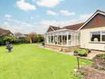 Thumbnail for sale in Ferring Close, Ferring, Worthing