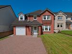 Thumbnail for sale in Magnolia Drive, Cambuslang, Glasgow