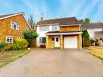 Thumbnail to rent in Curlew Crescent, Kingswood, Basildon, Essex