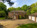 Thumbnail for sale in Windmill Hill, Exning, Newmarket, Suffolk
