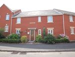 Thumbnail to rent in Walsingham Road, Exeter