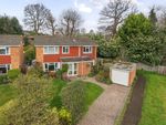 Thumbnail for sale in Copse Avenue, Farnham, Surrey