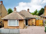 Thumbnail for sale in Garendon Road, Shepshed, Loughborough