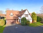 Thumbnail to rent in Sycamore Close, Fetcham