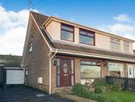 Thumbnail for sale in Fulmar Avenue, Lisburn