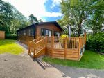 Thumbnail to rent in 26 Woodland View, Finlake Holiday Park, Newton Abbot
