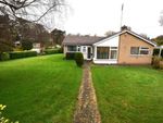 Thumbnail to rent in Avon Grove, Loggerheads, Market Drayton, Shropshire