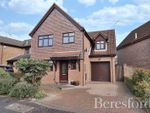 Thumbnail for sale in Estella Mead, Chelmsford