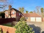 Thumbnail to rent in Holt Close, Sidcup