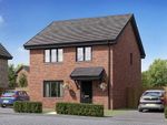 Thumbnail to rent in "The Balvenie" at Charleston Drive, Glenrothes
