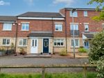 Thumbnail to rent in Trident Drive, Blyth, Northumberland