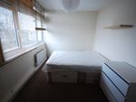 Thumbnail to rent in Cedars Road, Clapham