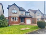 Thumbnail to rent in Campsie Court, Larkhall