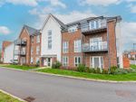 Thumbnail to rent in Stormer House, Archer Grove, Arborfield Green, Aborfield