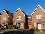 Thumbnail for sale in Renfields, Haywards Heath