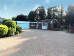 Thumbnail for sale in Balmoral Close, Ipswich