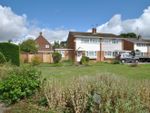 Thumbnail for sale in Chestnut Avenue, Gosfield, Halstead