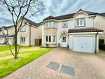 Thumbnail to rent in Fairley Drive, Larbert