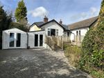 Thumbnail to rent in Tilsmore Road, Heathfield, East Sussex