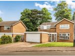 Thumbnail for sale in Ashley Crescent, Warwick