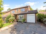 Thumbnail to rent in Goodwood Close, Midhurst, West Sussex