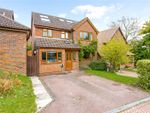 Thumbnail for sale in Wren Close, Winchester, Hampshire