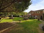Thumbnail to rent in The Spinney, Hassocks