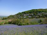 Thumbnail for sale in Old Hollow, West Malvern