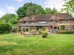 Thumbnail to rent in Roundals Lane, Hambledon, Godalming, Surrey