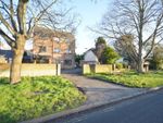 Thumbnail to rent in 1c Cedar Court, Staunton Avenue, Hayling Island, Hampshire