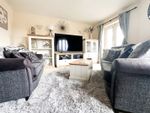 Thumbnail to rent in Anchorage Mews, Thornaby, Stockton-On-Tees