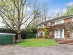 Thumbnail to rent in Langley Drive, Camberley, Surrey