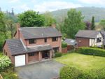 Thumbnail to rent in Guilsfield, Welshpool, Powys