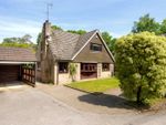Thumbnail for sale in Birchside, Crowthorne, Berkshire