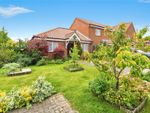 Thumbnail for sale in Limes Road, Catfield, Great Yarmouth, Norfolk