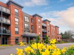 Thumbnail for sale in Norfolk Road, Edgbaston, Birmingham, West Midlands