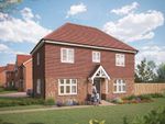 Thumbnail to rent in "The Spruce" at Hamstreet, Ashford
