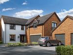Thumbnail to rent in "The Oxwich" at Lipwood Way, Wynyard, Billingham