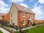 Thumbnail to rent in "Hadley" at Moores Lane, East Bergholt, Colchester